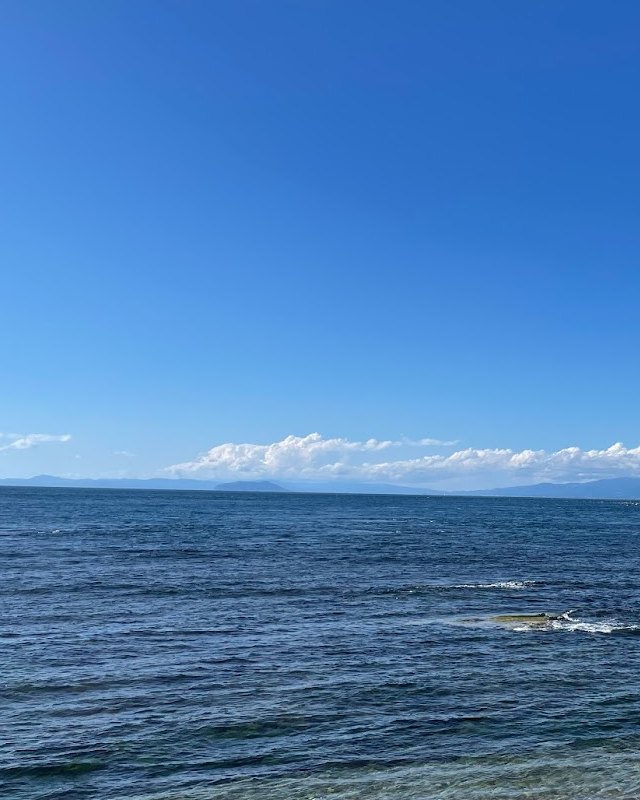 生まれ育った土地の海の風景